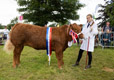 Malton Show 2024